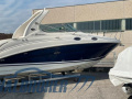 Sea Ray 315 SUNDANCER Sportboot