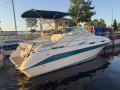 Sea Ray 230 Motoryat
