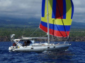 Alubat Ovni 43 Yacht à voile