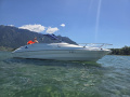 Campion Allante 6251 Čoln za vodno smučanje