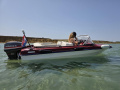 Hille Flamingo 410 Sportboot