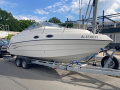 Stingray 240CS Motor yacht