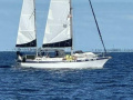 Morgan Out Island Segelyacht