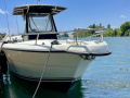 Pursuit 2670 Cuddy Center Console Konsolenboot