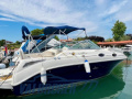 Sea Ray 255 DA Sundancer Sportboot