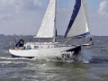 Scheldeschouw 9 meter Yacht à voile