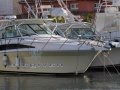 Bertram Yacht 360 Moppie Sportboot