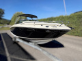 Sea Ray 240 SSE Sportboot