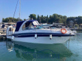 Four Winns Vista 288 Sportboot