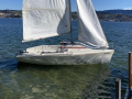 Logo 18 Race Shanta 550 Dinghy cruiser