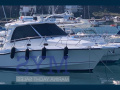 Boston Whaler 345 CONQUEST Yacht a motore