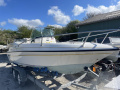 Doral 185 CC Konsolenboot