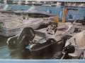 Tigermarine 520 Sport Line Merev aljú gumicsónak (RIB)