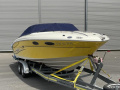 Sea Ray 240 SSE Motoscafo