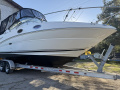 Sea Ray Sundancer 240 Motoros yacht