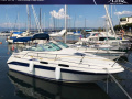 Sea Ray 230 DA LTD Kajütboot