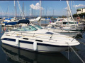 Sea Ray 230 DA LTD Kajütboot