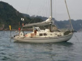 Royal System Sagitta 30 Vitorlás yacht
