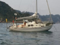 Royal System Sagitta 30 Yelkenli yat