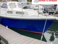 Mitchell Sea Angler 31 AK Motoryacht