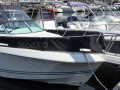Kelt WHITE SHARK 236 Hardtop