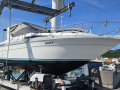 Sea Ray Sundancer 290 DA Motoryacht