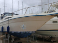 Sea Ray 290 SUNDANCER Sportboot