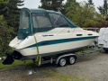Sea Ray 230 Sundancer Motoryacht