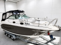 Sea Ray 255 Sundancer Motoryacht