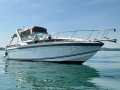 Formula PC 26 Thunderbird Motoryacht