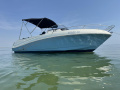 Prins 625 Sundeck Motoscafo