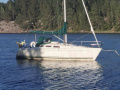 Hanse 300 Segelyacht