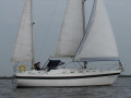 Contest 32 CS Zeiljacht