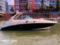 Sea Ray 305 Sundancer Kajütboot