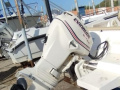 EVINRUDE E-TEC 40 CV 2HP Fuoribordo