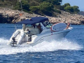 Sea Ray 300 DA Motoryacht