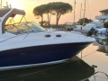 Sea Ray 355 Motoryacht