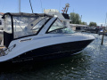 Bayliner 842 Cuddy Bowrider