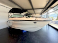 Sea Ray 190 SPX Bowrider