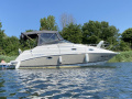 Regal 2665 Commodore Sportboot