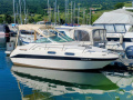 Sea Ray 230 DA LTD Motor yacht