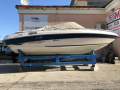 Sea Ray 190 Signature Motoscafo