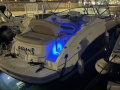 Chaparral Signature 250 Kabinówka
