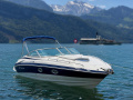 Crownline 26 Day Cruiser Sportboot