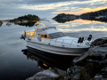 Birchwood Ts37 Fly Flybridge