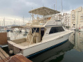 Viking 50 Kajütboot