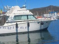 Bertram Yacht 38' Sport fish MK 3 Fischerboot