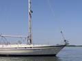 Contest 38S Segelyacht
