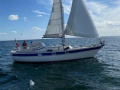 Hallberg-Rassy 312 MK1 Segelyacht