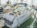 Sea Ray Sundancer 290 Yacht a motore